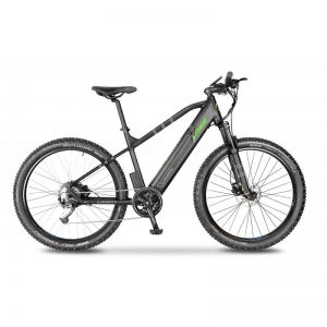 Argento e-bike Prformance+ green