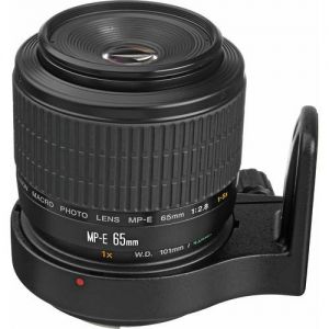 Canon MP-E 65mm f/2.8 1-5x Macro Photo
