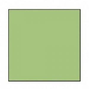 FALCON EYES Eyes Fundo de Papel 73 Summer Green 2.75 x 11mt