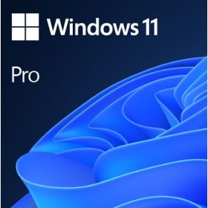 Windows 11 Pro 64Bit PT 1pk DSP OEI DVD