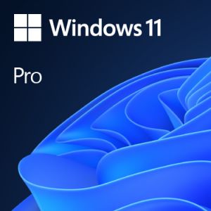 Windows 11 Pro 64Bit EN Intl 1pk DSP OEI DVD