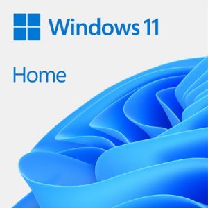 Windows 11 Home 64Bit PT 1pk DSP OEI DVD