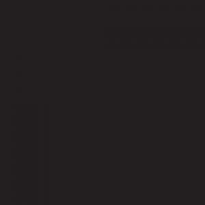 SAVAGE Fundo de Papel BLACK (20) 2,18m x11m